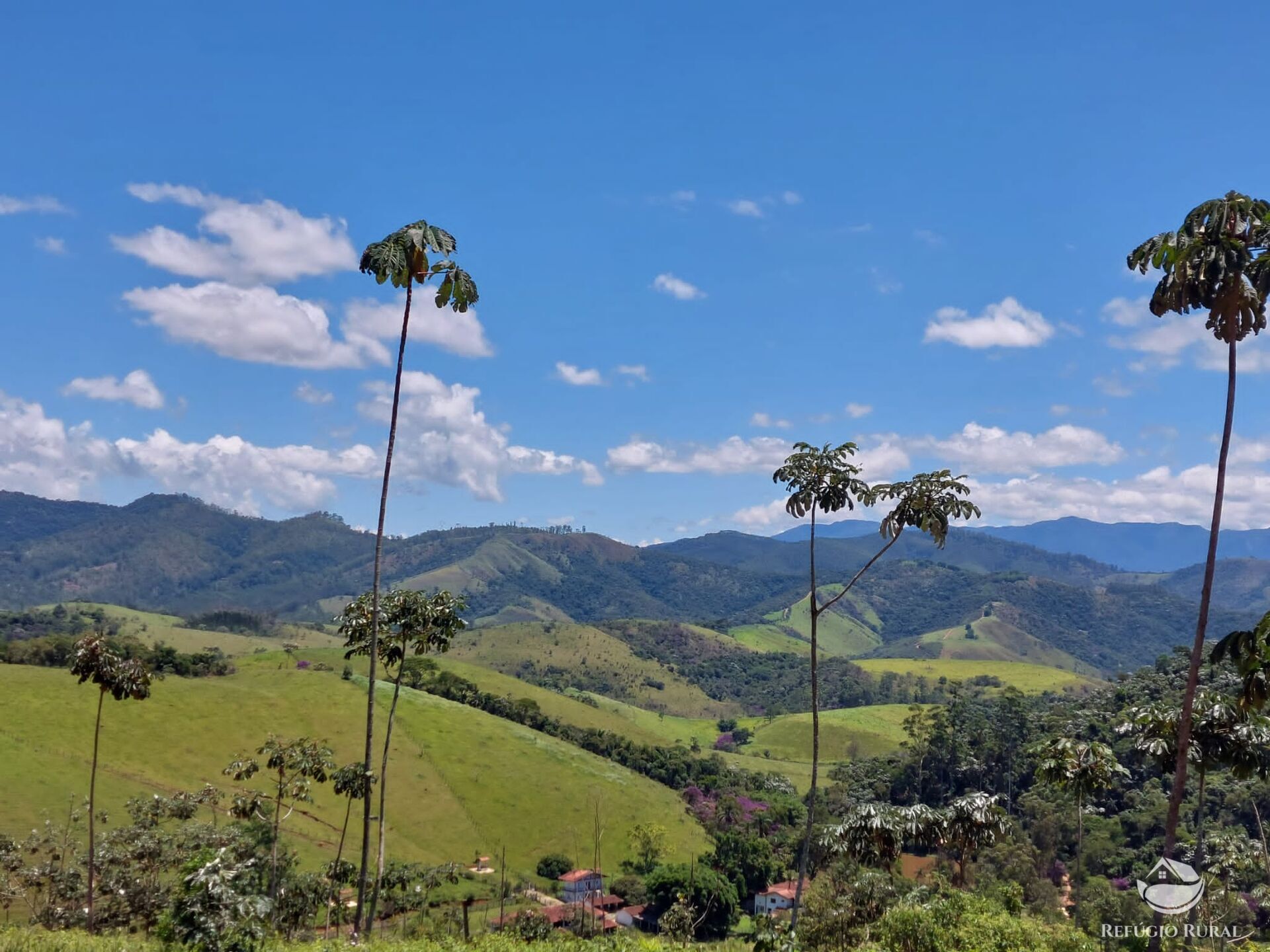 Terreno à venda, 31000m² - Foto 1