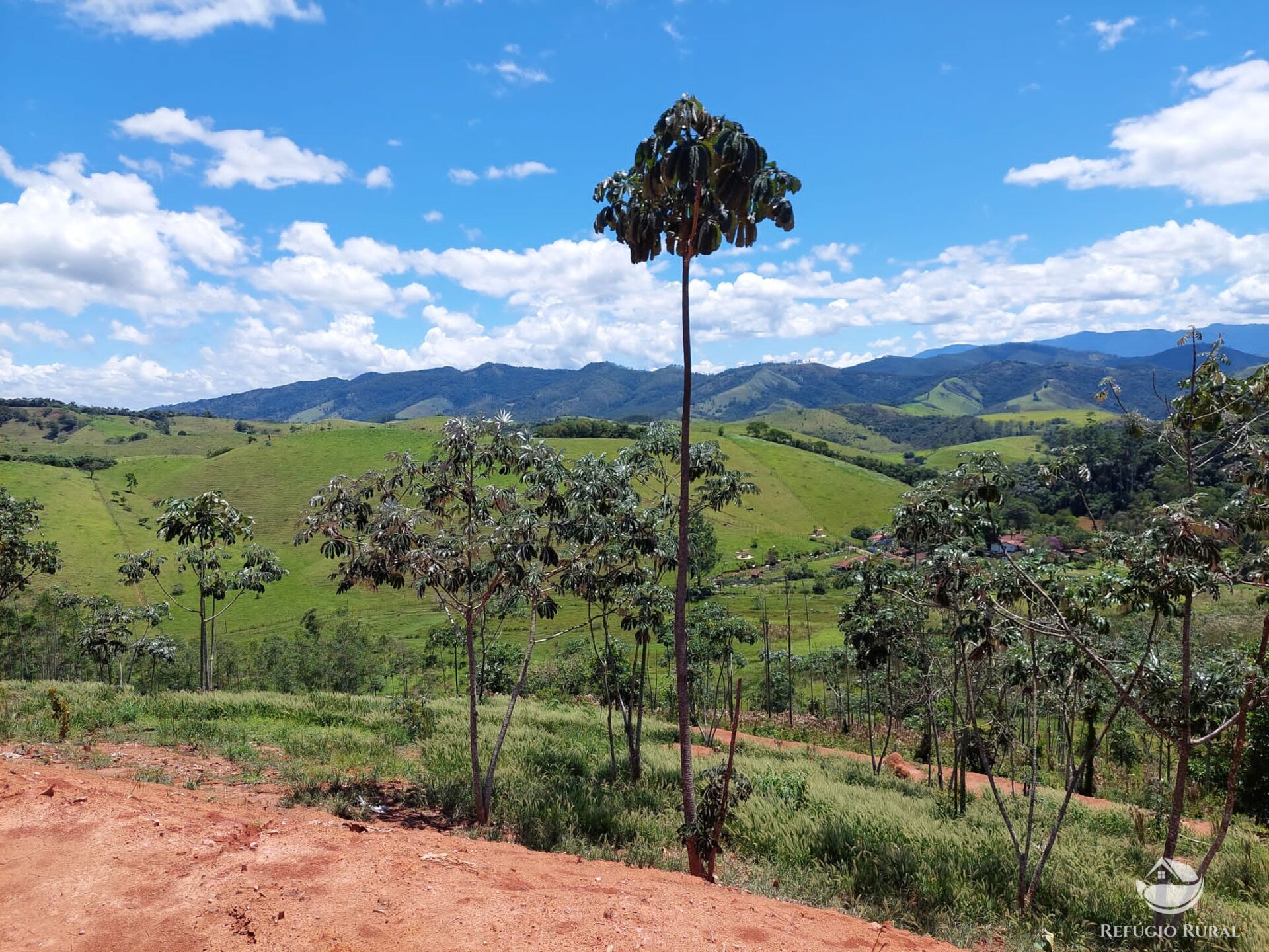 Terreno à venda, 31000m² - Foto 8