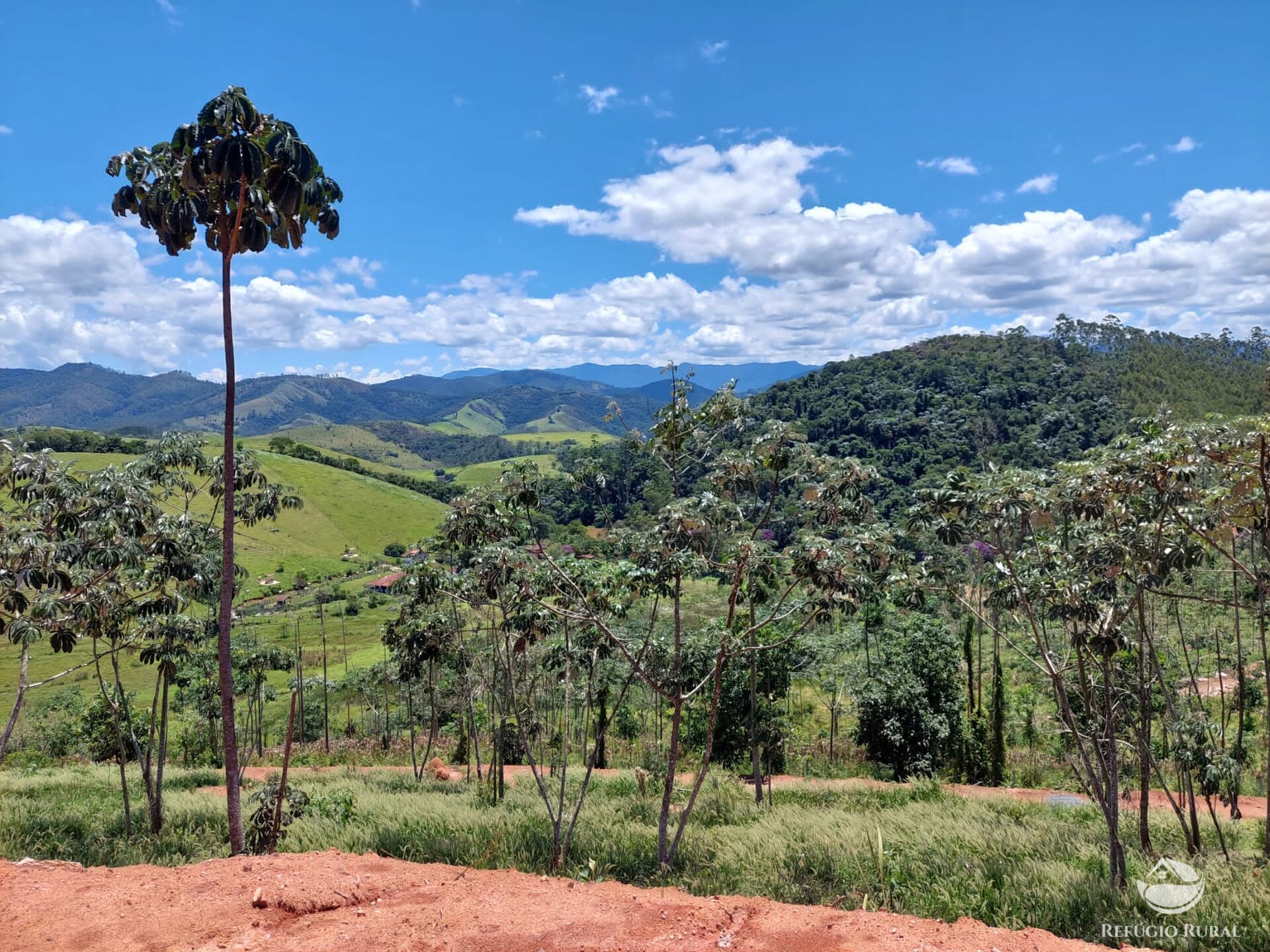 Terreno à venda, 31000m² - Foto 2