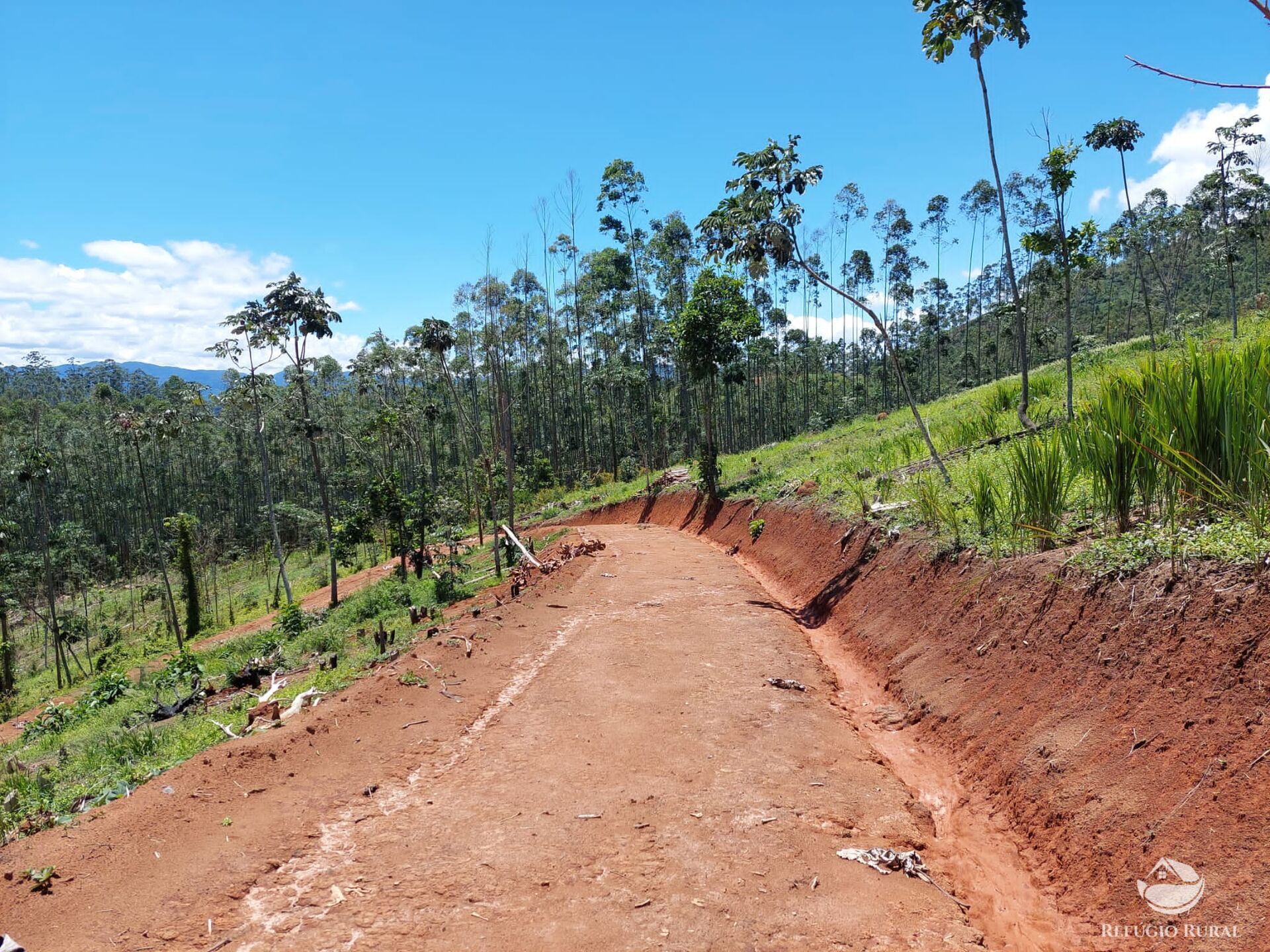 Terreno à venda, 31000m² - Foto 3