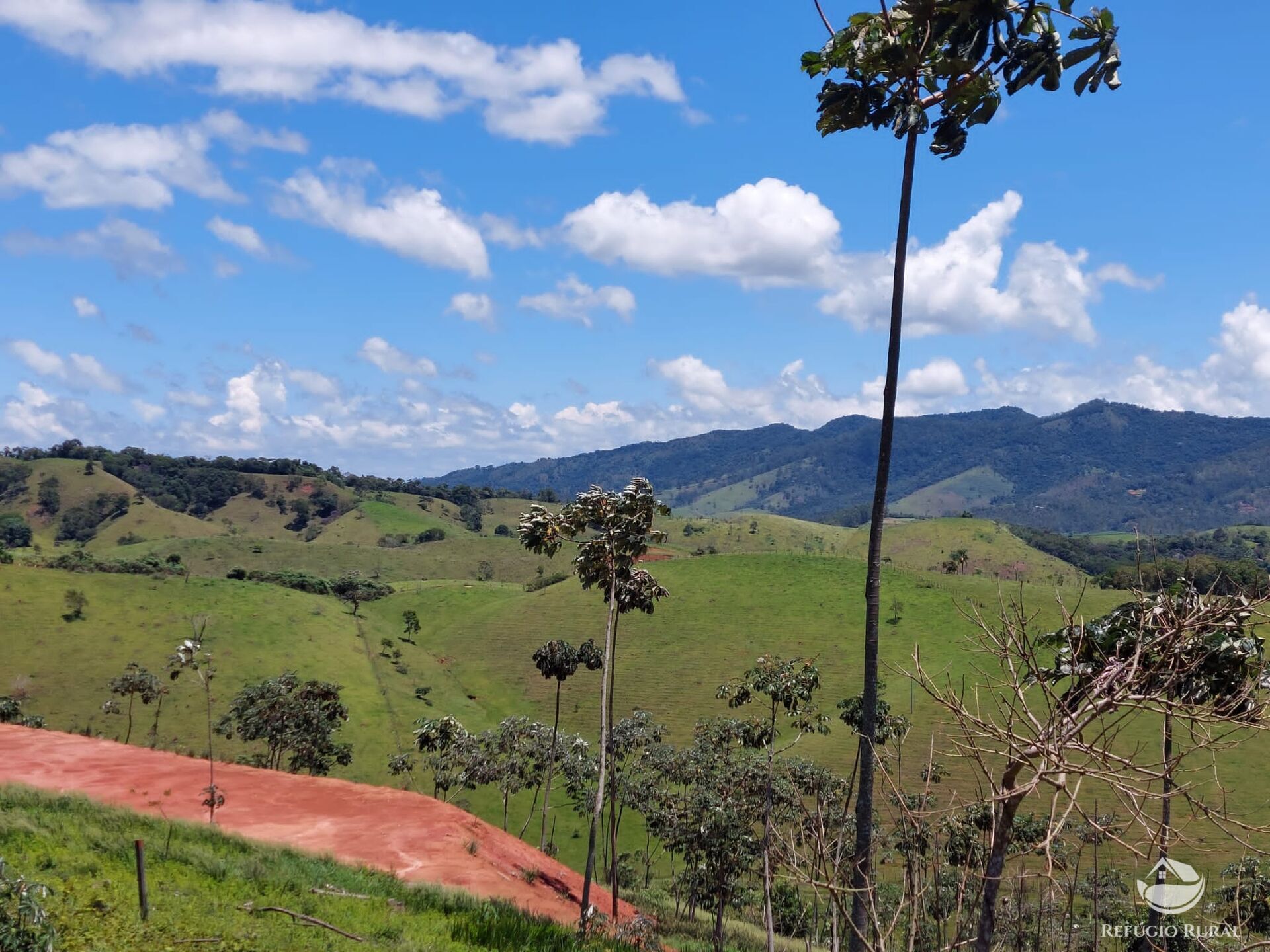 Terreno à venda, 31000m² - Foto 4