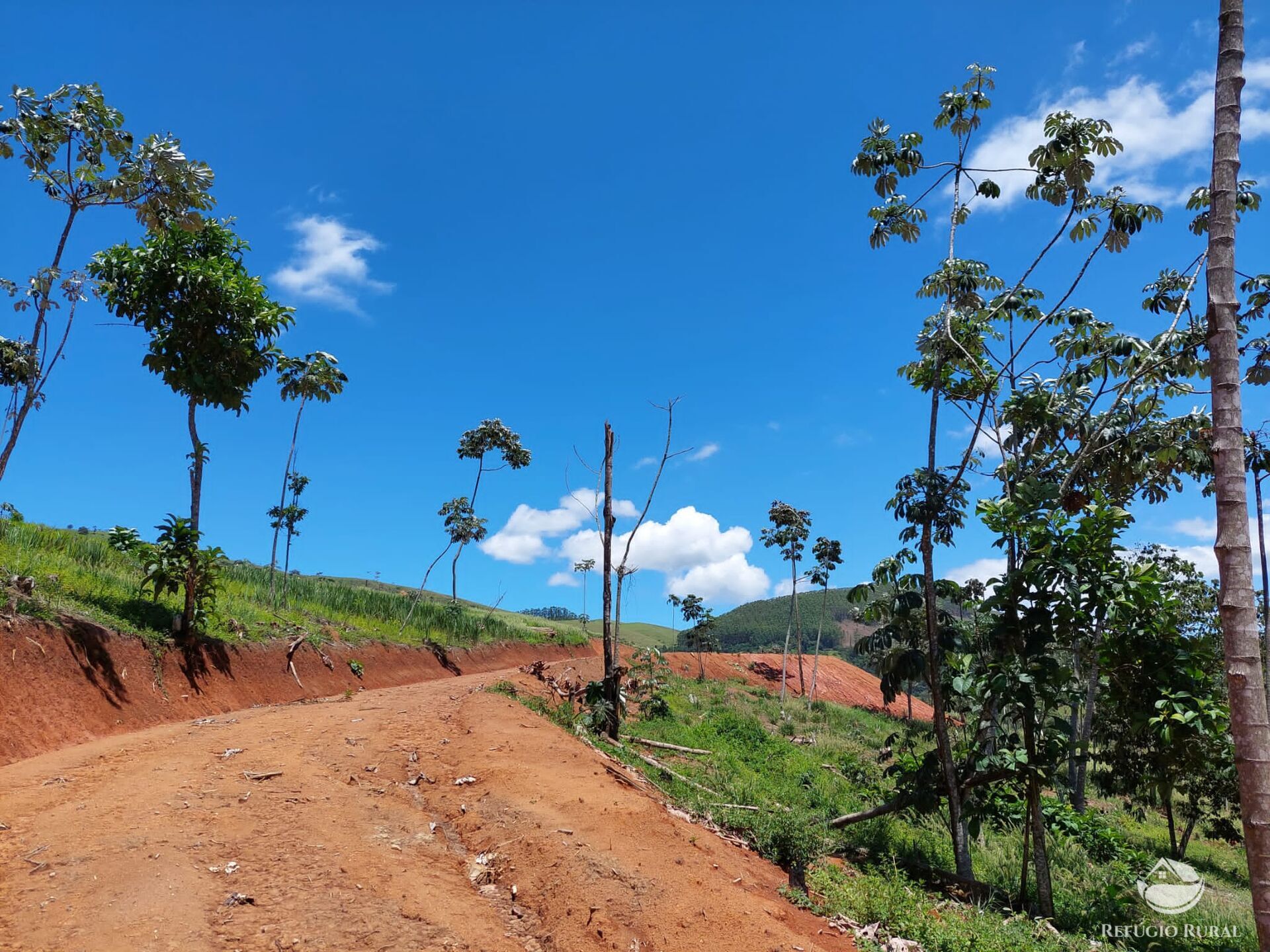 Terreno à venda, 31000m² - Foto 9