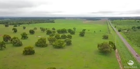 Fazenda à venda com 6 quartos, 9500000m² - Foto 5