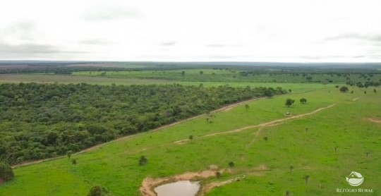 Fazenda à venda com 6 quartos, 9500000m² - Foto 7