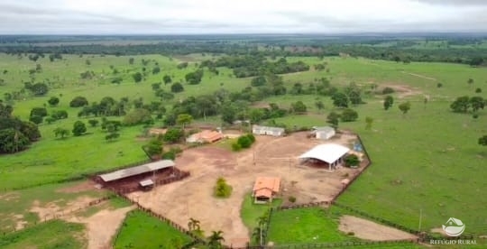 Fazenda à venda com 6 quartos, 9500000m² - Foto 3