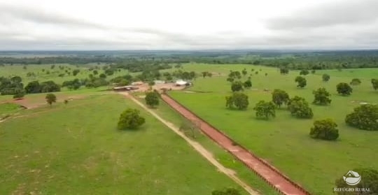 Fazenda à venda com 6 quartos, 9500000m² - Foto 6