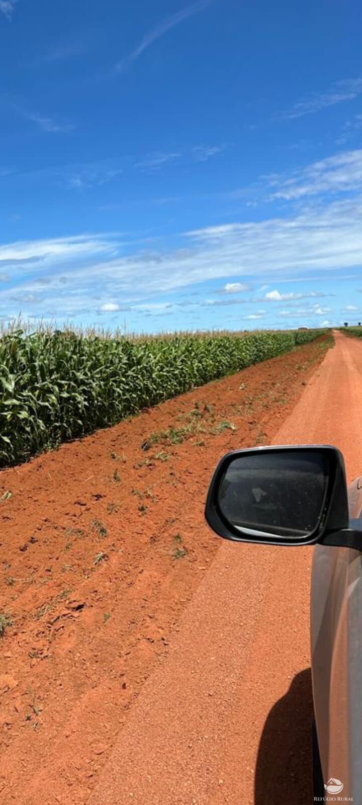 Fazenda à venda com 1 quarto, 48000000m² - Foto 4