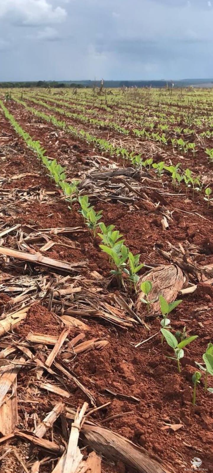 Fazenda à venda com 1 quarto, 48000000m² - Foto 6