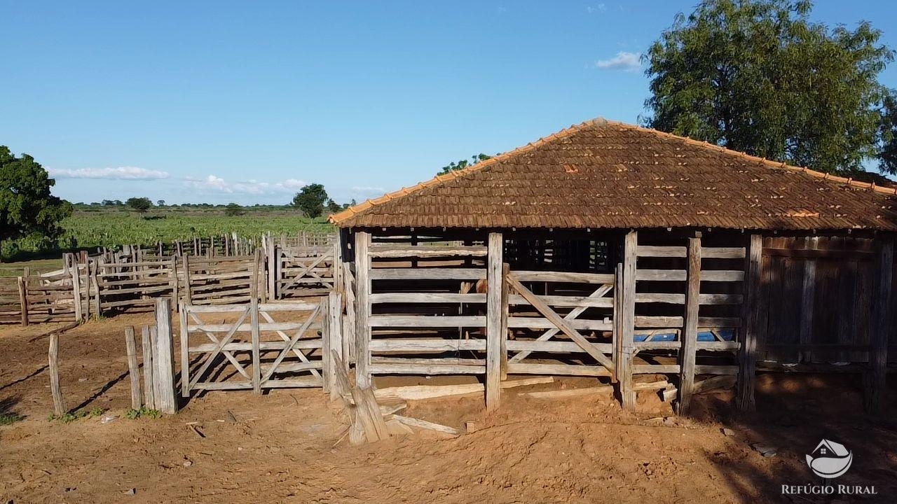 Fazenda à venda com 2 quartos, 20030000m² - Foto 12