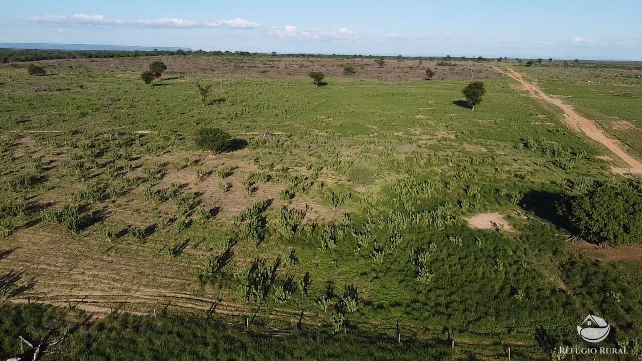 Fazenda à venda com 2 quartos, 20030000m² - Foto 29