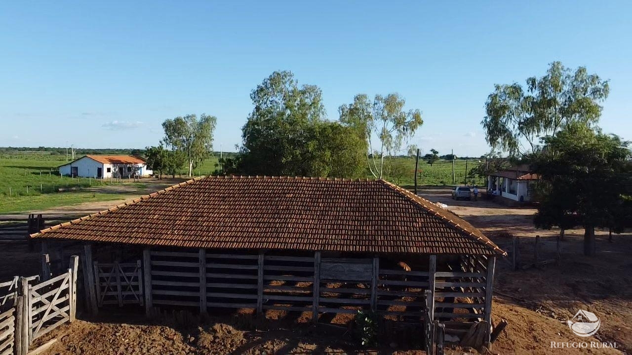 Fazenda à venda com 2 quartos, 20030000m² - Foto 11