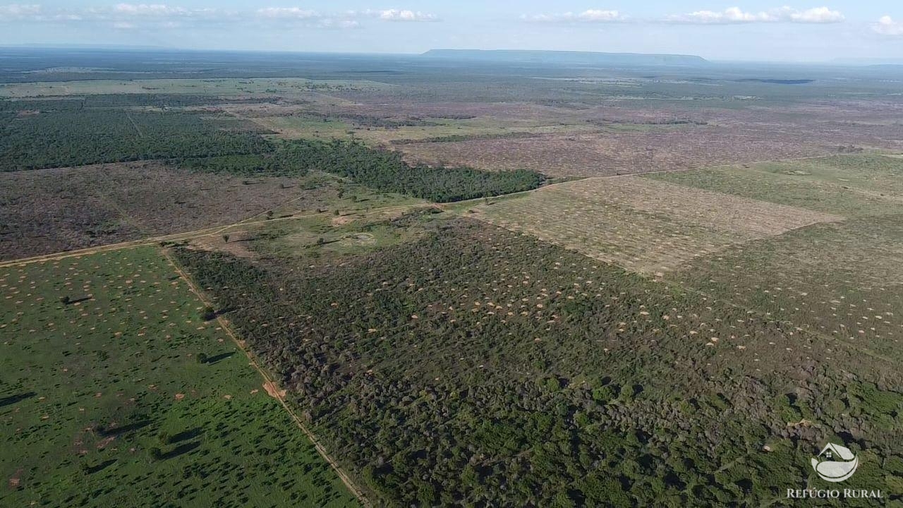 Fazenda à venda com 2 quartos, 20030000m² - Foto 23