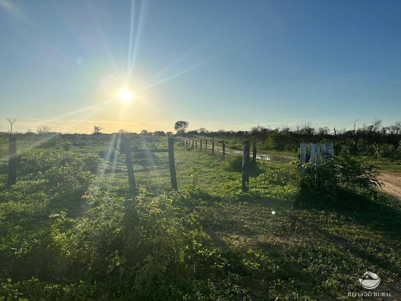 Fazenda à venda com 2 quartos, 20030000m² - Foto 5