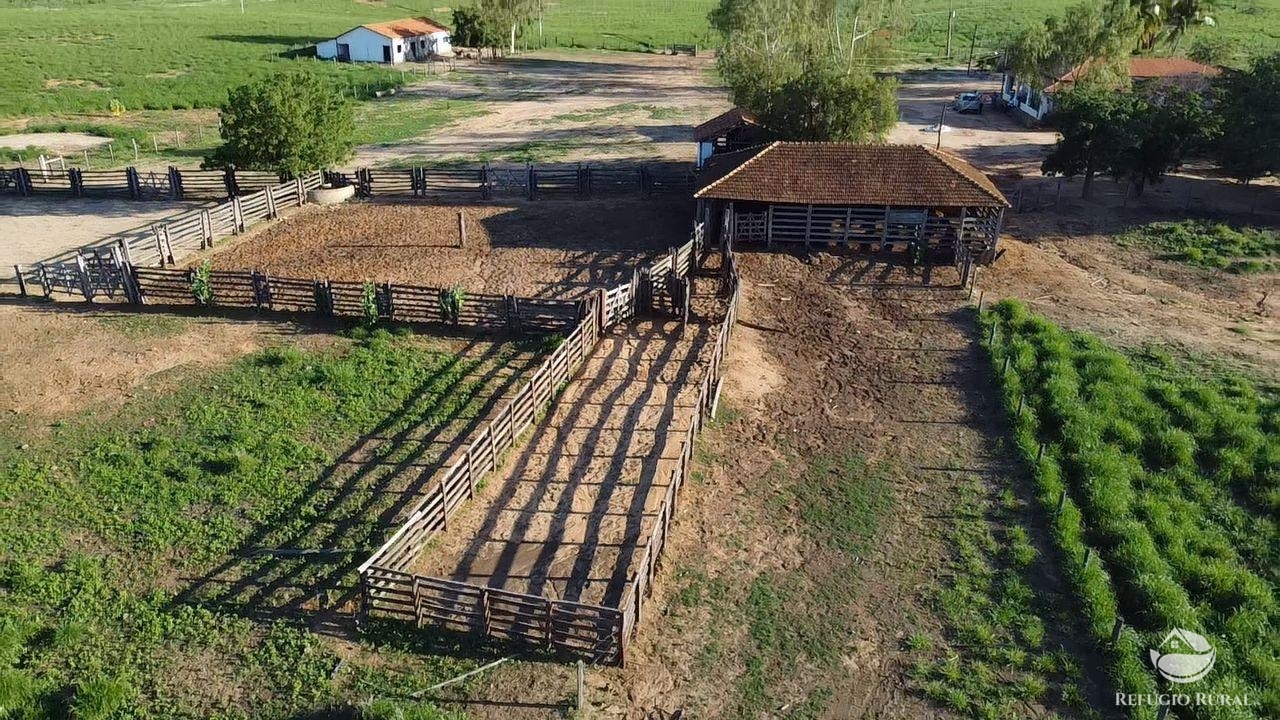 Fazenda à venda com 2 quartos, 20030000m² - Foto 13