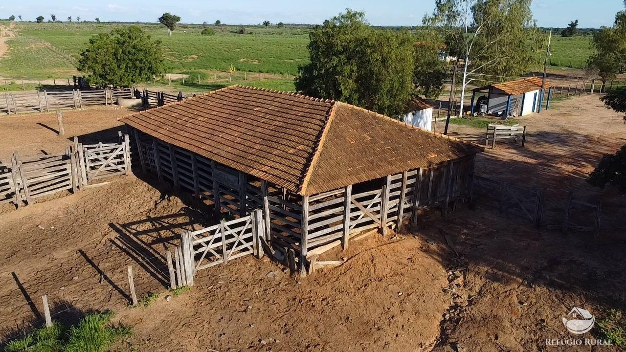 Fazenda à venda com 2 quartos, 20030000m² - Foto 14