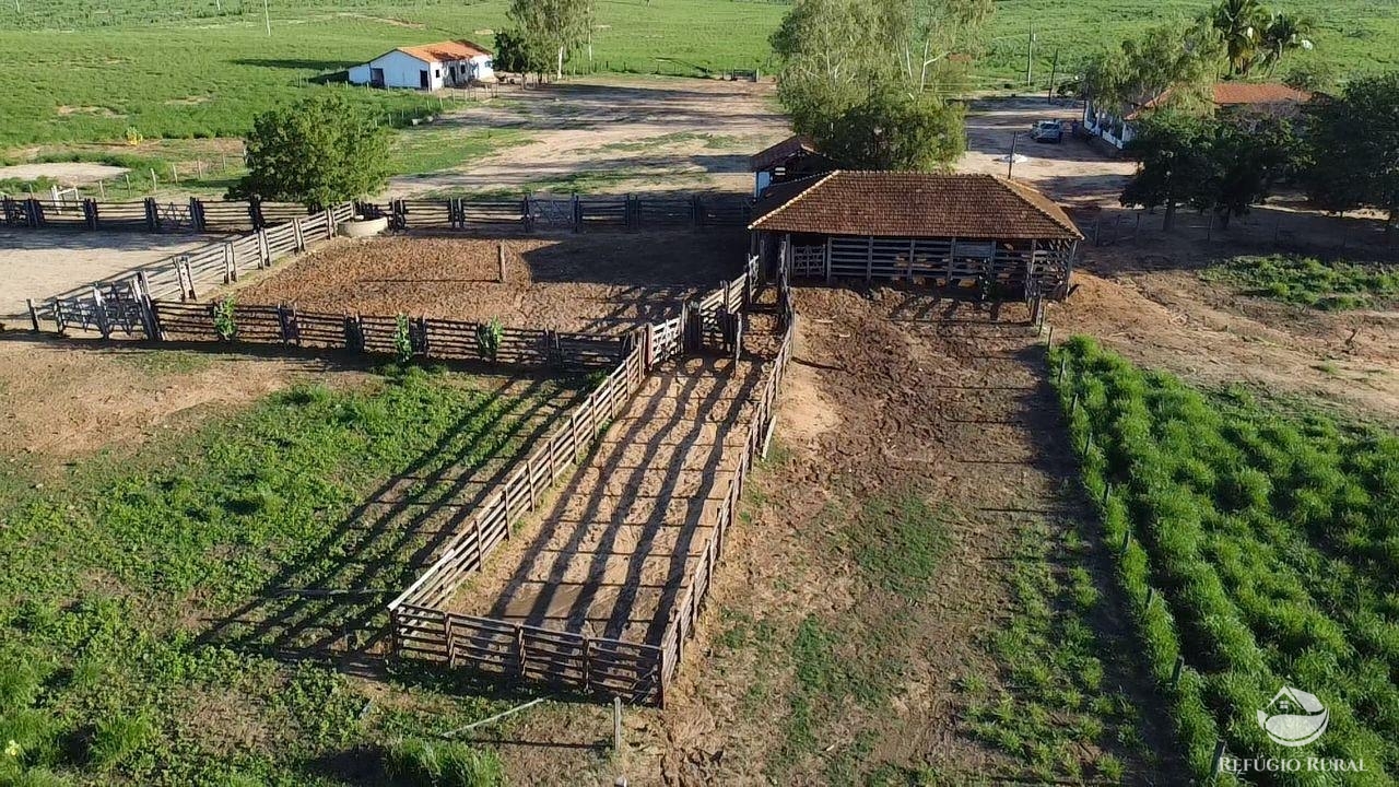 Fazenda à venda com 2 quartos, 20030000m² - Foto 15