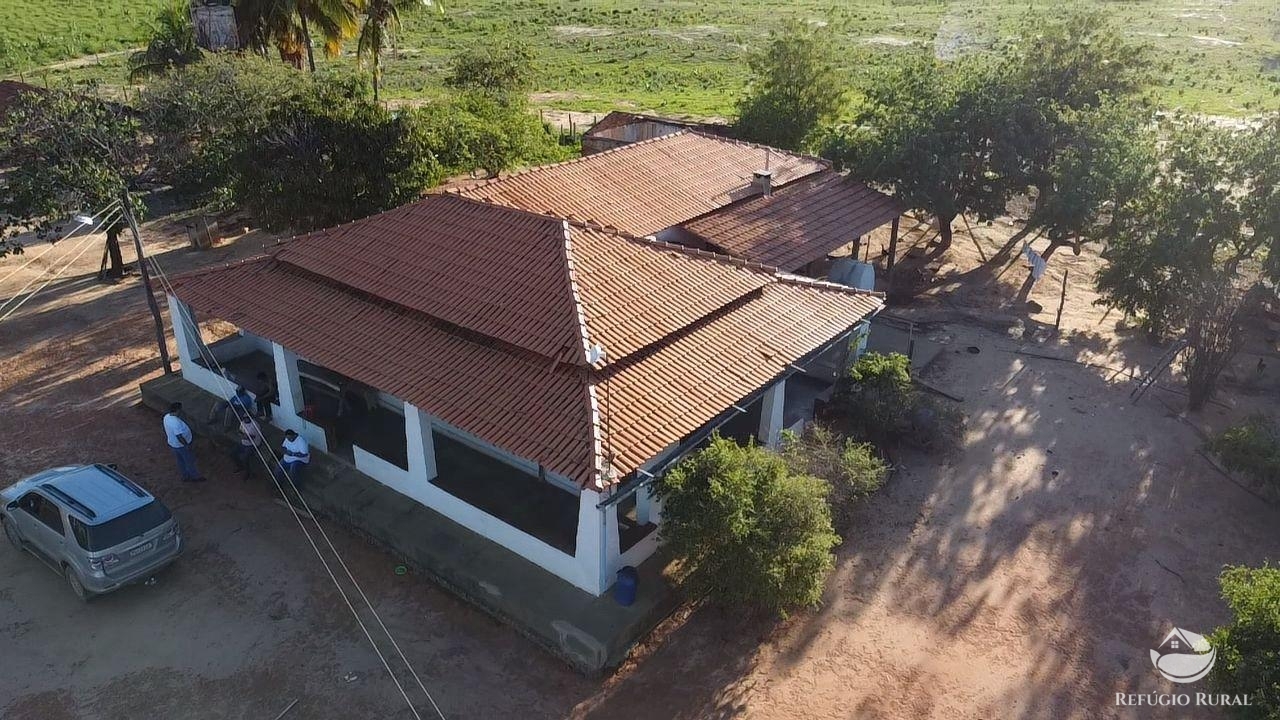 Fazenda à venda com 2 quartos, 20030000m² - Foto 4