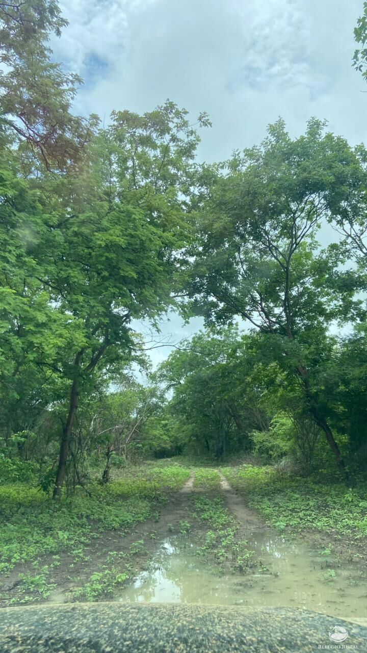 Fazenda à venda com 2 quartos, 20030000m² - Foto 27