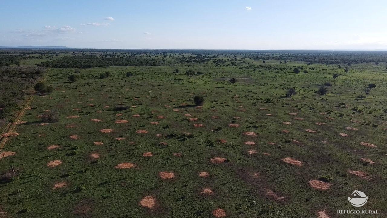 Fazenda à venda com 2 quartos, 20030000m² - Foto 25