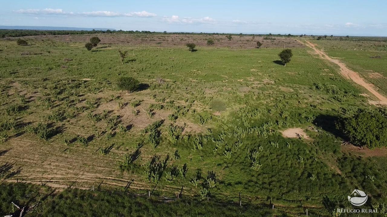 Fazenda à venda com 2 quartos, 20030000m² - Foto 17