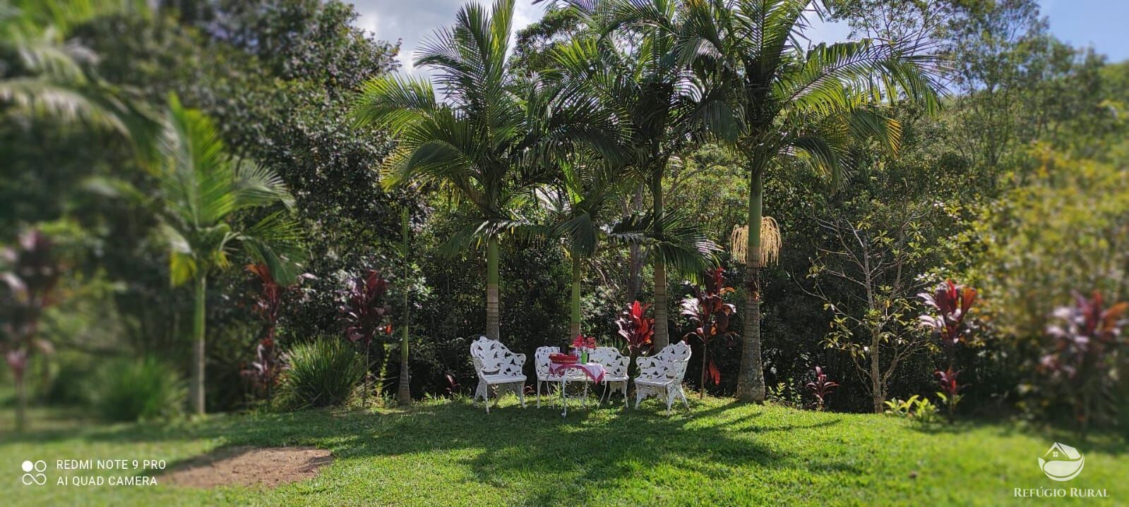 Sítio, 3 quartos, 15 hectares - Foto 6