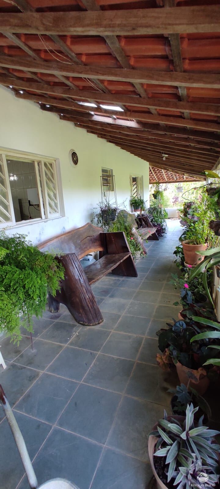 Sítio, 3 quartos, 15 hectares - Foto 23