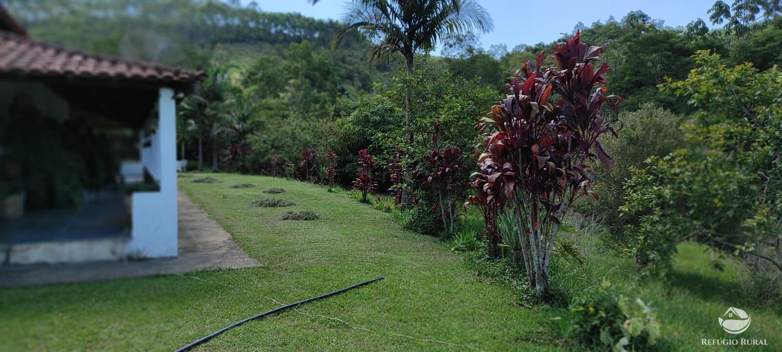 Sítio, 3 quartos, 15 hectares - Foto 19