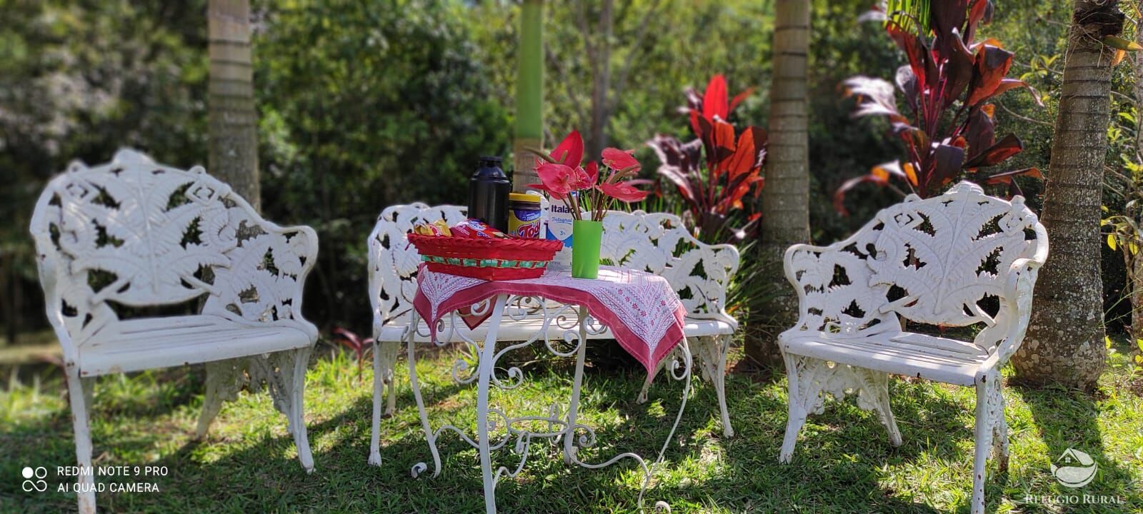 Sítio, 3 quartos, 15 hectares - Foto 25