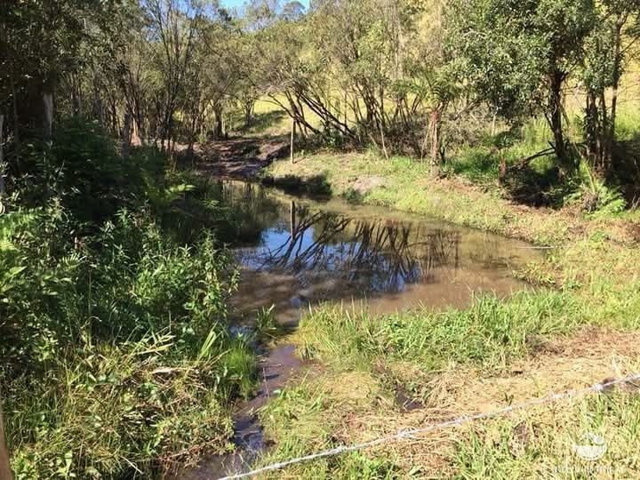 Sítio, 3 quartos, 15 hectares - Foto 4