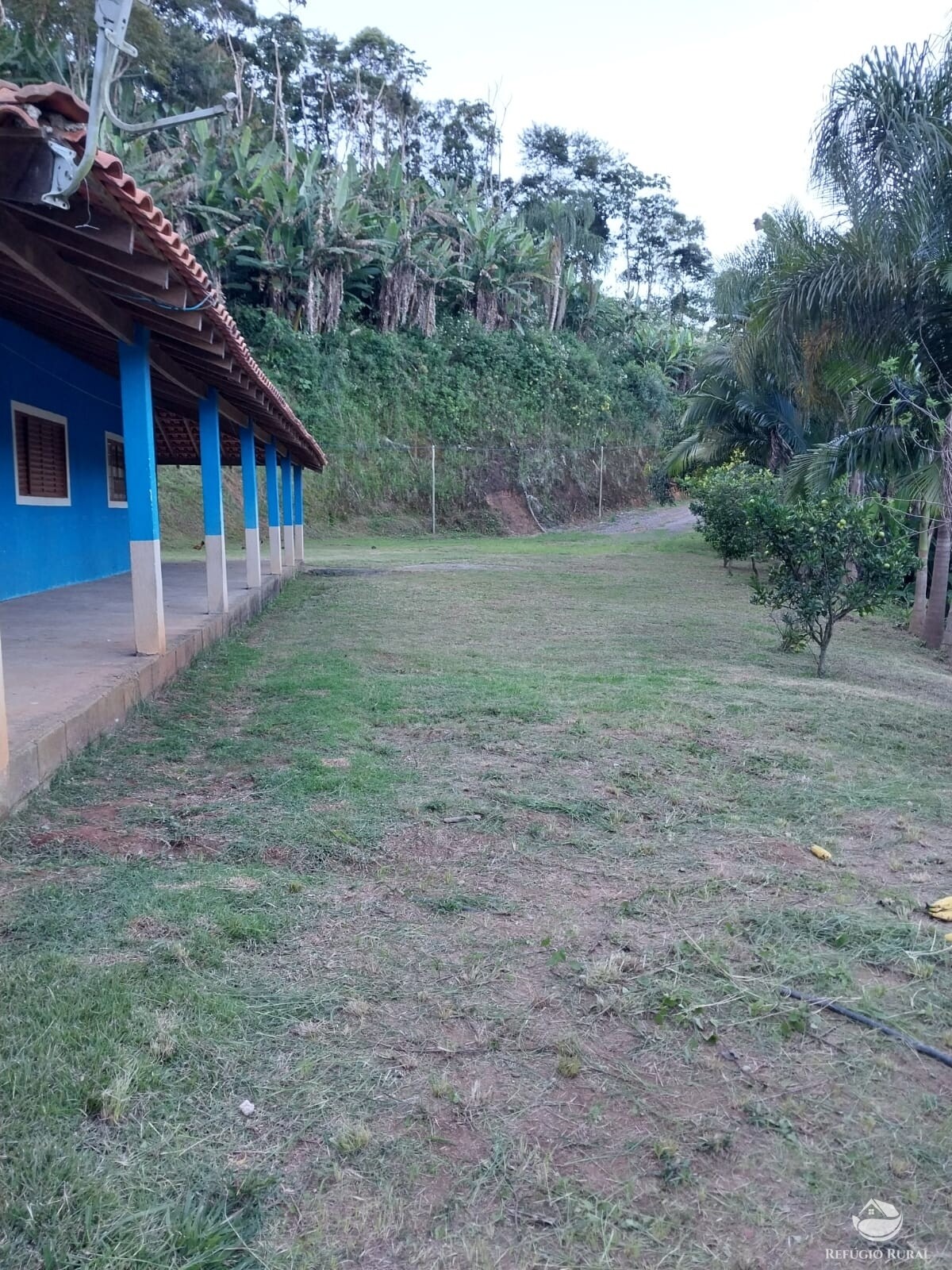 Fazenda à venda com 3 quartos, 7000m² - Foto 12