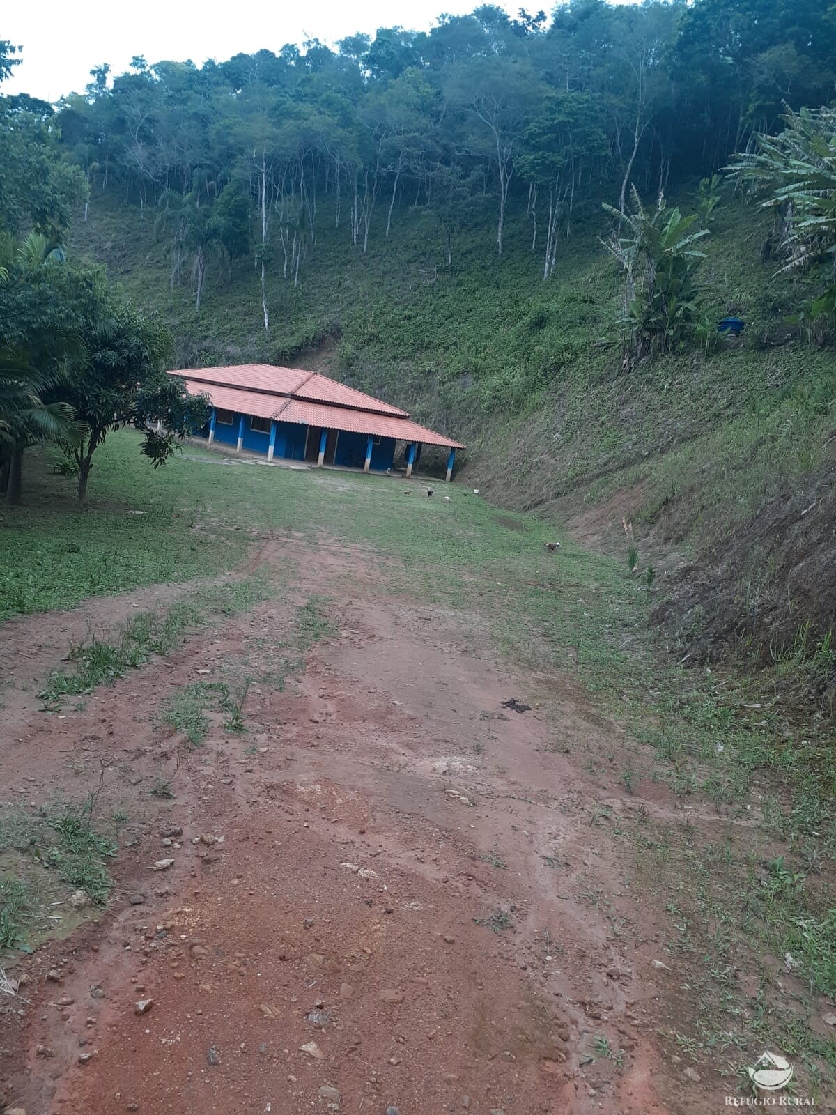 Fazenda à venda com 3 quartos, 7000m² - Foto 8