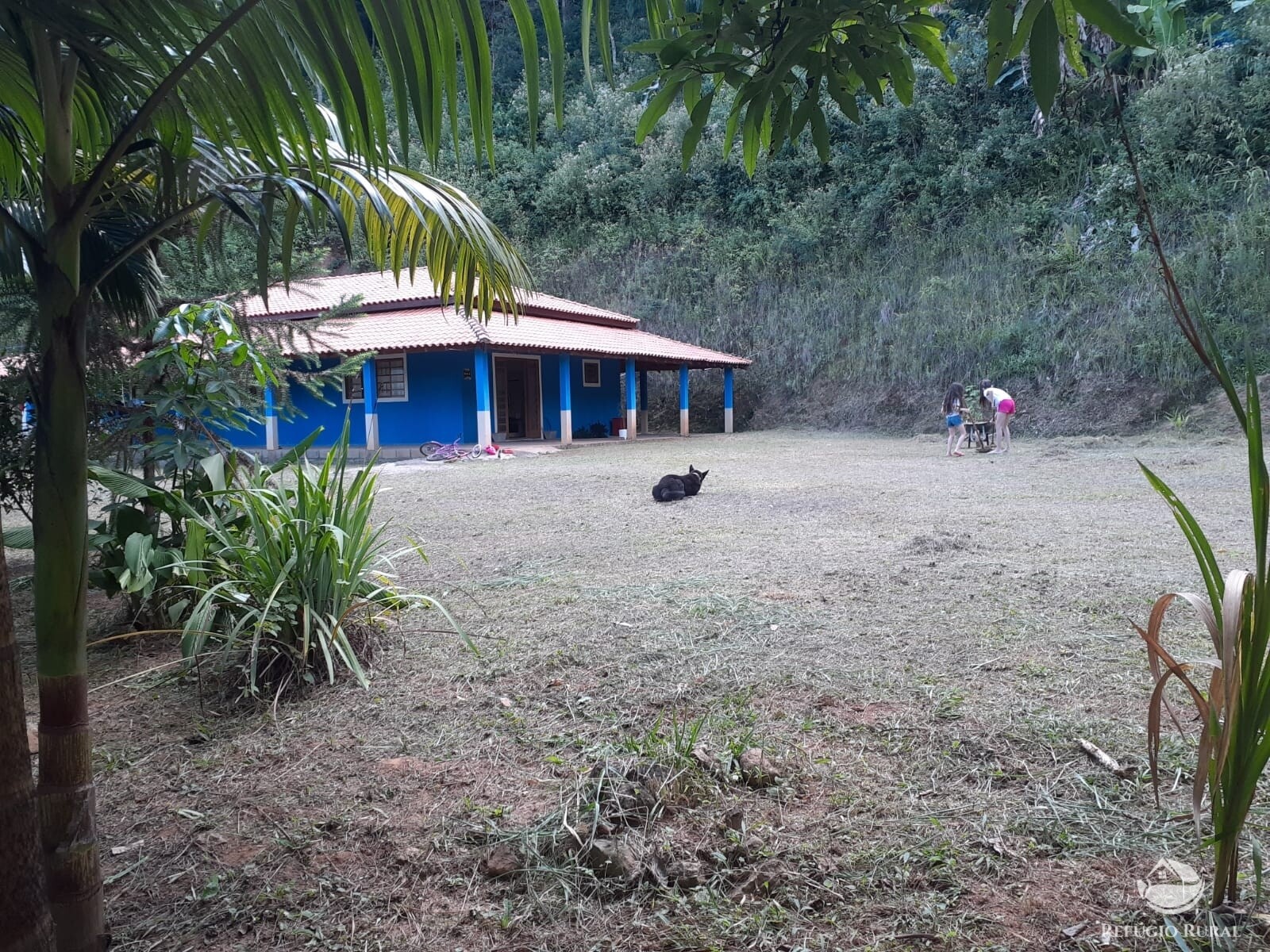 Fazenda à venda com 3 quartos, 7000m² - Foto 1