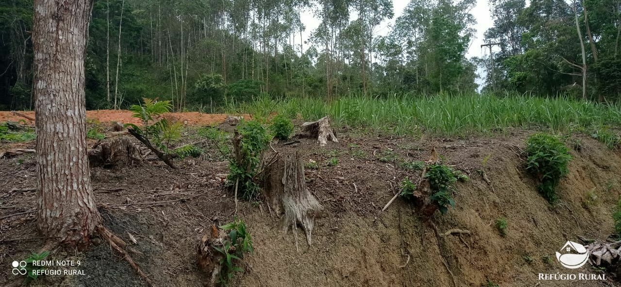 Terreno à venda, 25000m² - Foto 8