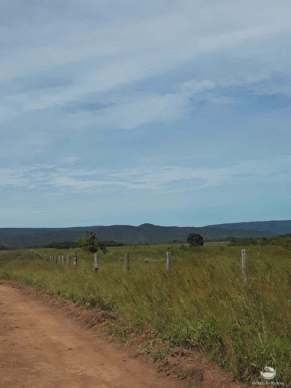 Fazenda à venda com 1 quarto, 74300000m² - Foto 11