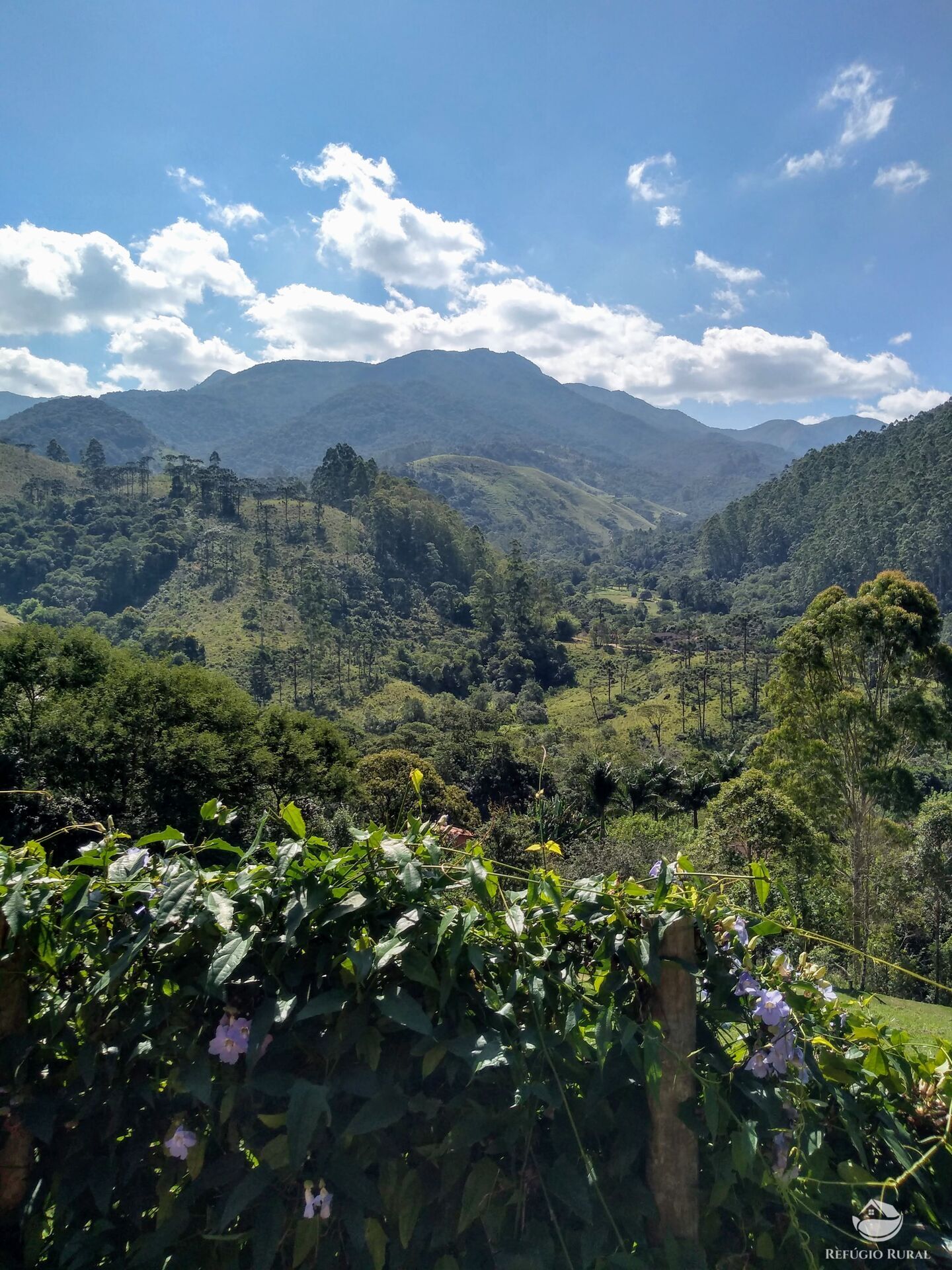 Fazenda à venda com 2 quartos, 20971m² - Foto 28