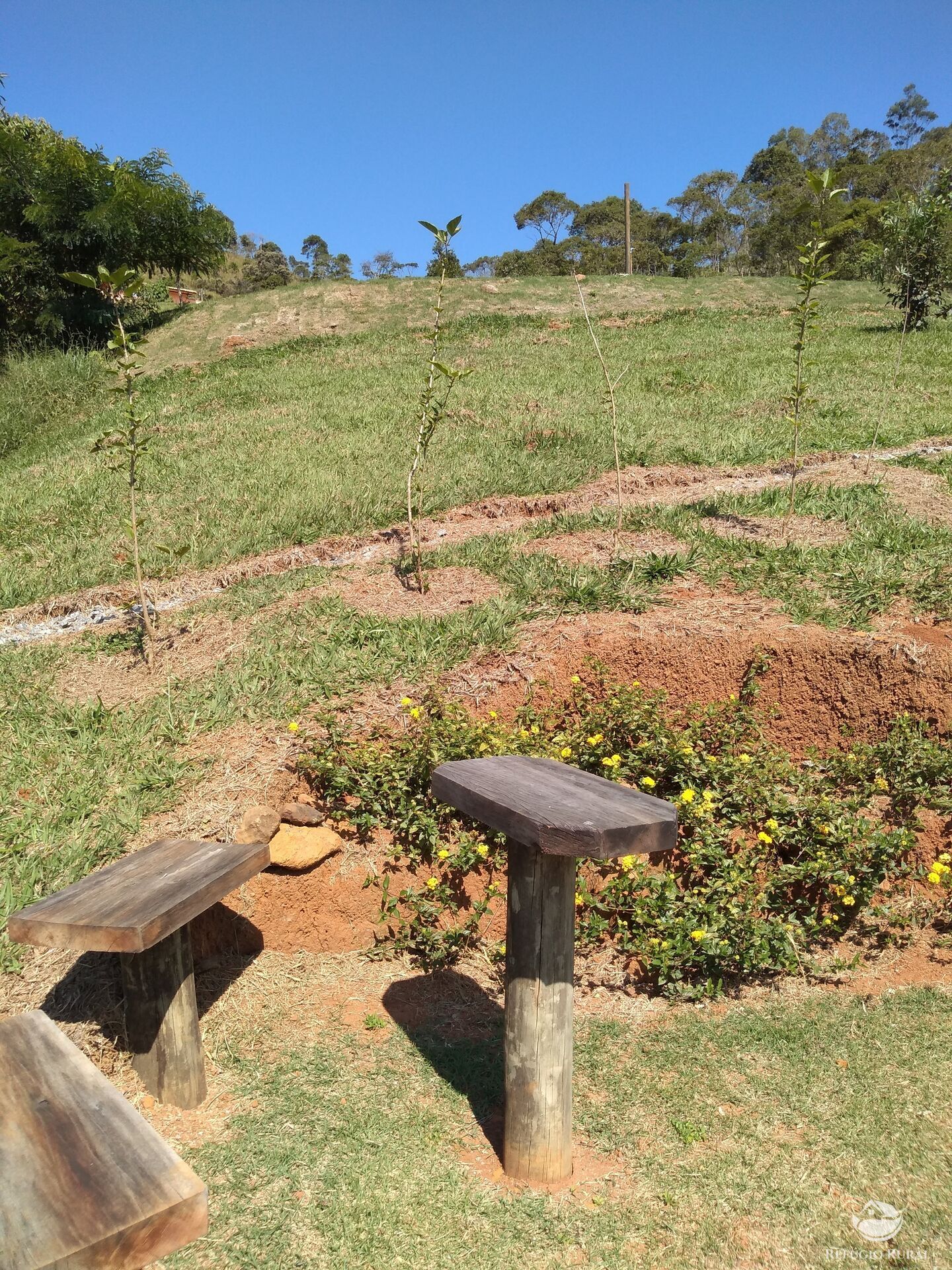 Fazenda à venda com 2 quartos, 20971m² - Foto 23