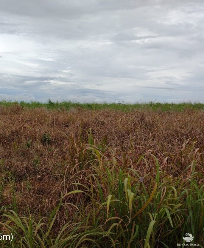 Fazenda à venda com 2 quartos, 15710000m² - Foto 2