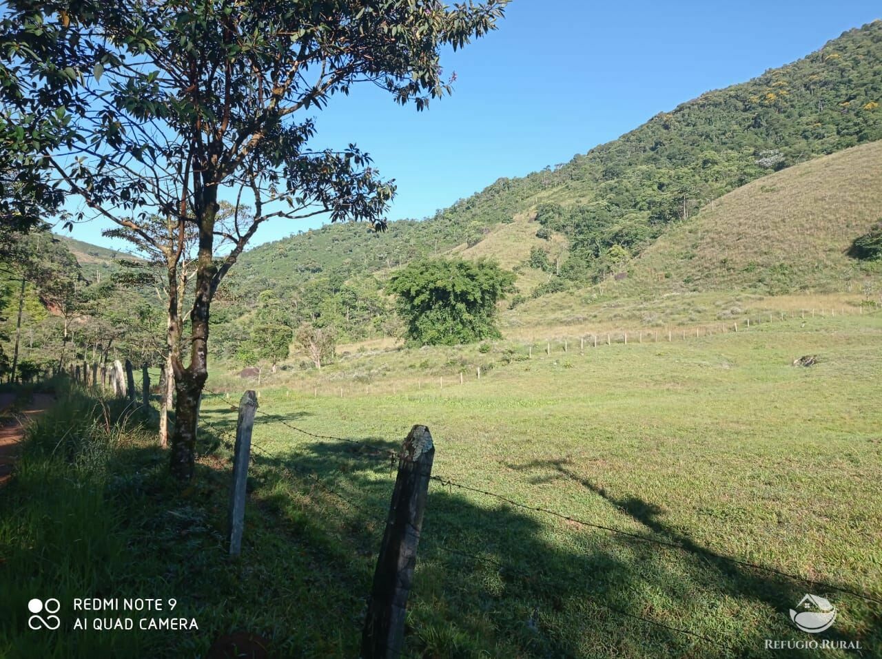 Fazenda à venda, 121000m² - Foto 5