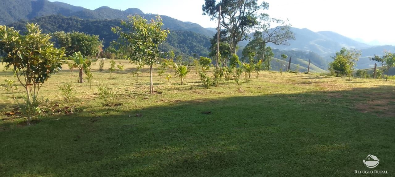 Fazenda à venda com 2 quartos, 30000m² - Foto 3