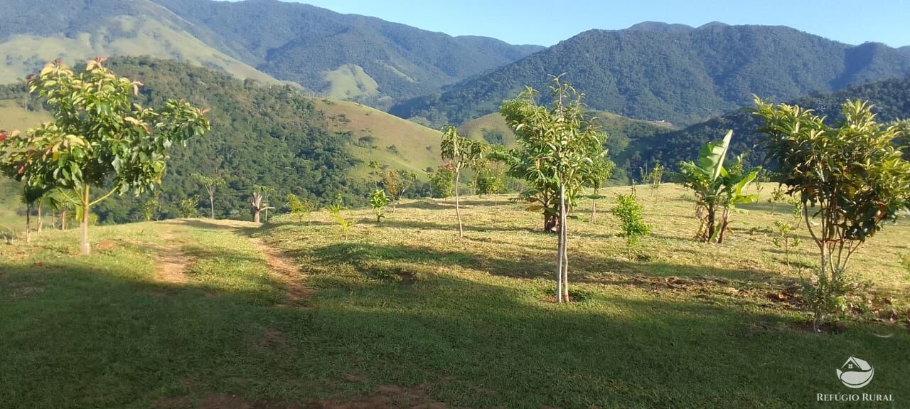 Fazenda à venda com 2 quartos, 30000m² - Foto 5