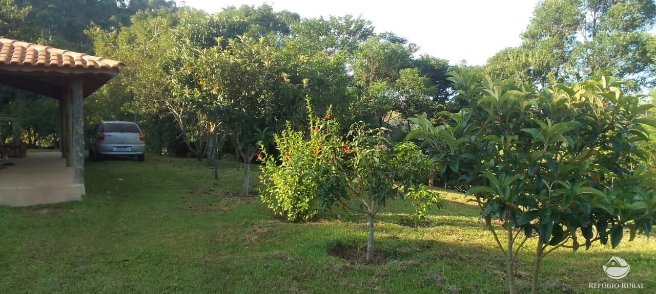 Fazenda à venda com 2 quartos, 30000m² - Foto 4