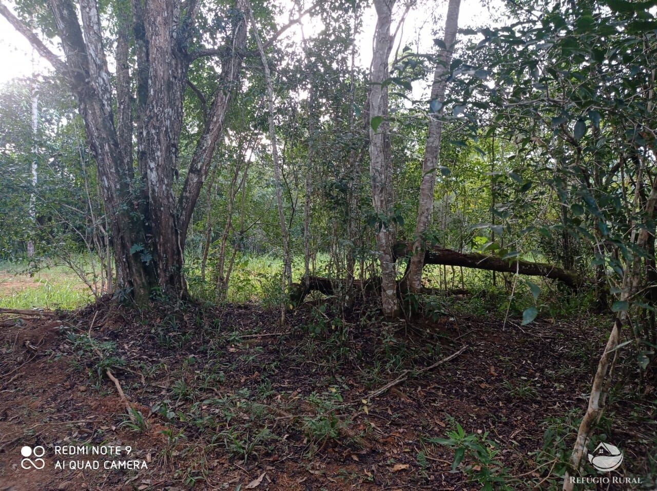 Fazenda à venda com 1 quarto, 72600m² - Foto 25