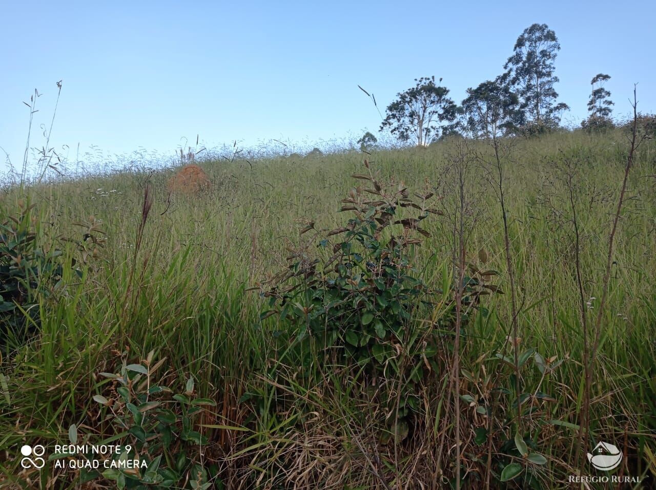 Fazenda à venda com 1 quarto, 72600m² - Foto 36