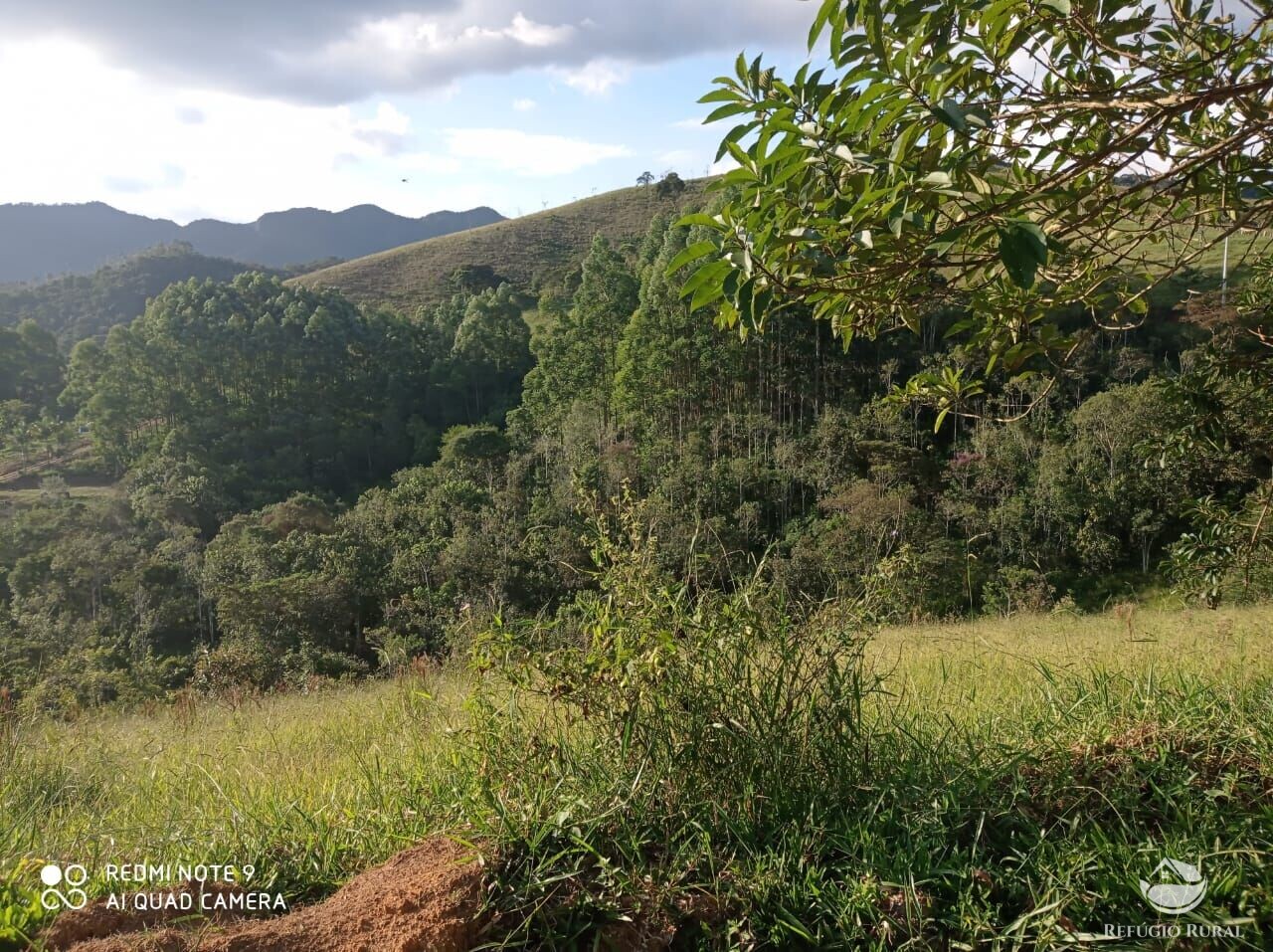 Fazenda à venda com 1 quarto, 72600m² - Foto 41