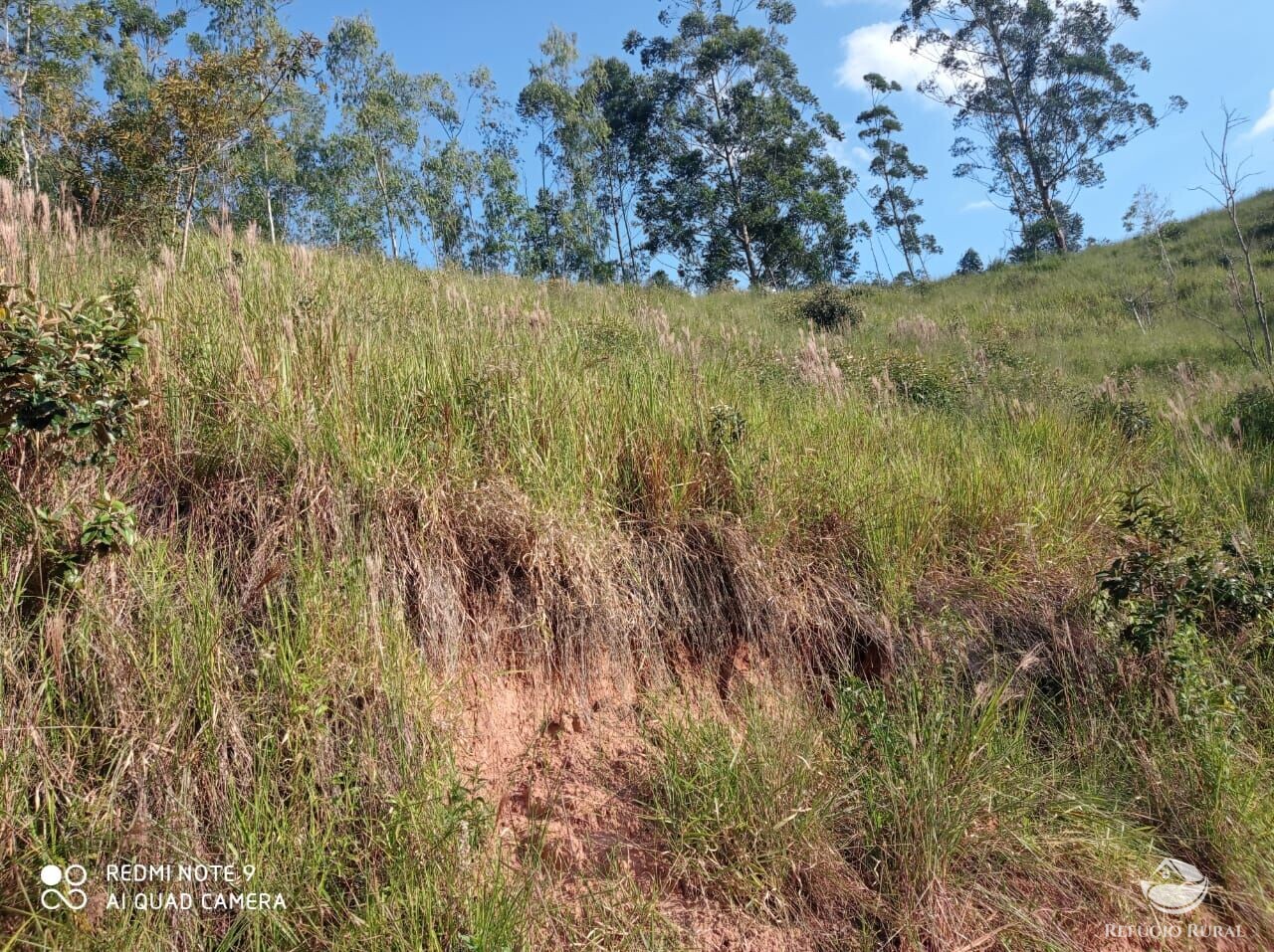 Fazenda à venda com 1 quarto, 72600m² - Foto 32