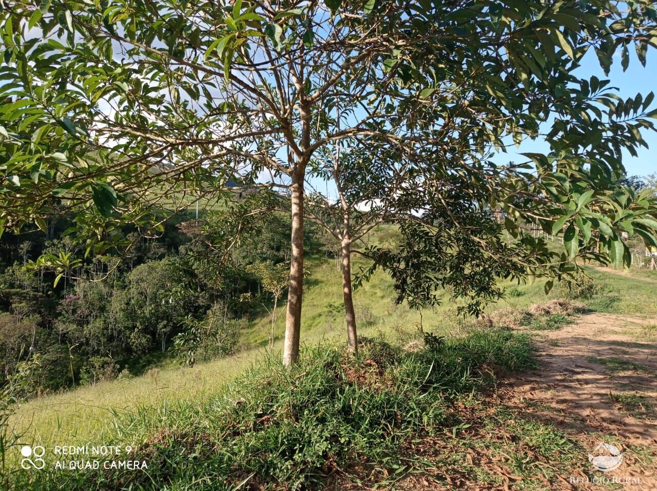 Fazenda à venda com 1 quarto, 72600m² - Foto 49