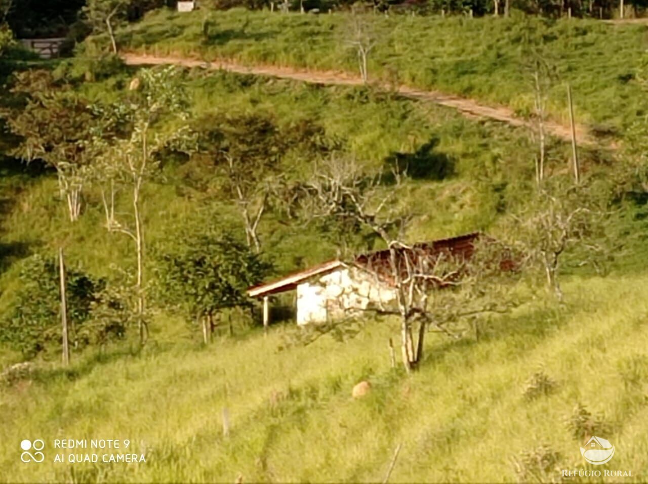 Fazenda à venda com 1 quarto, 72600m² - Foto 18