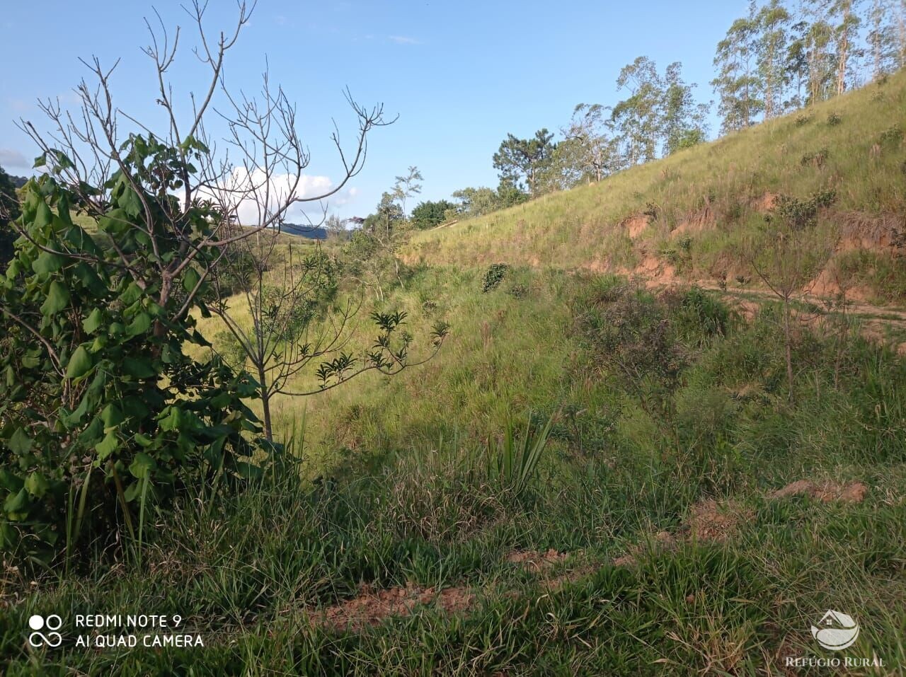 Fazenda à venda com 1 quarto, 72600m² - Foto 19