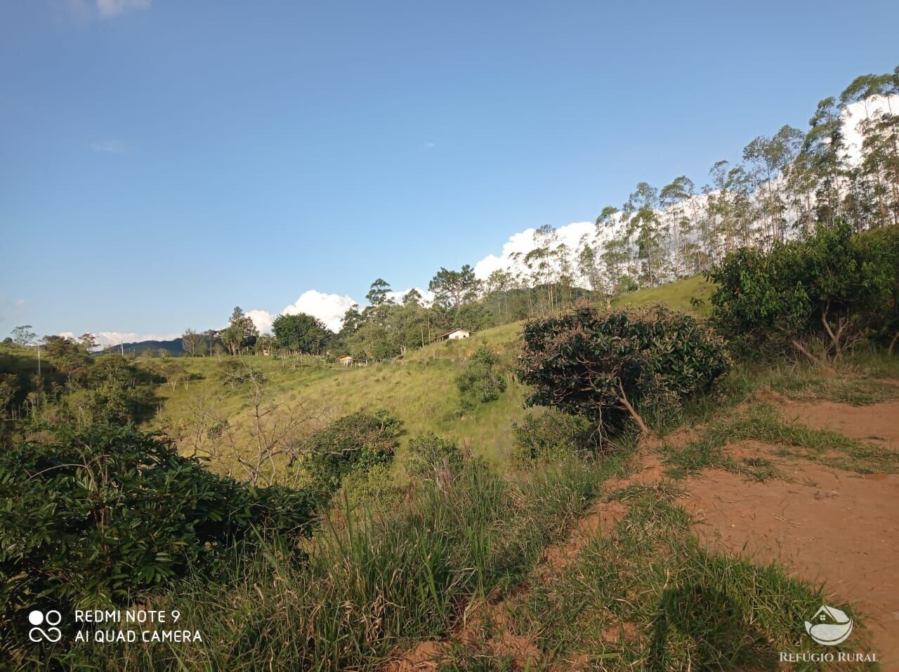 Fazenda à venda com 1 quarto, 72600m² - Foto 27