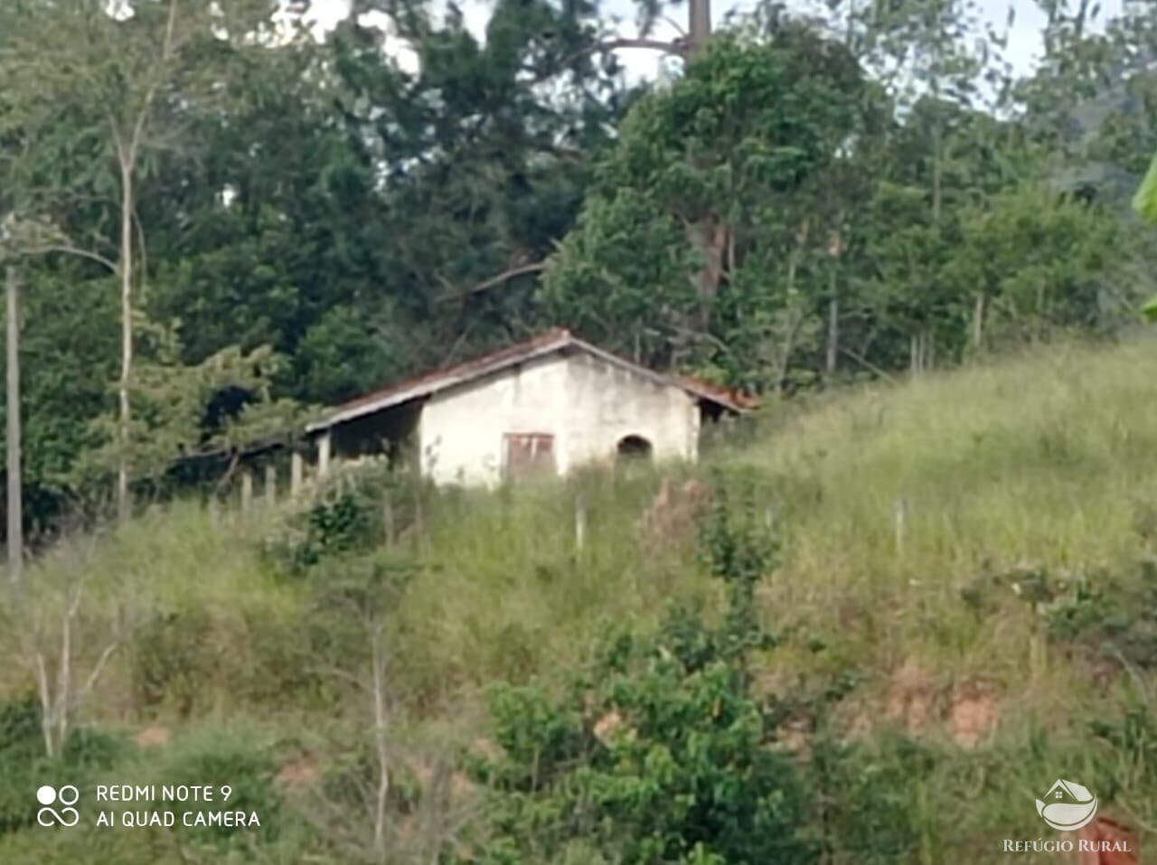 Fazenda à venda com 1 quarto, 72600m² - Foto 5